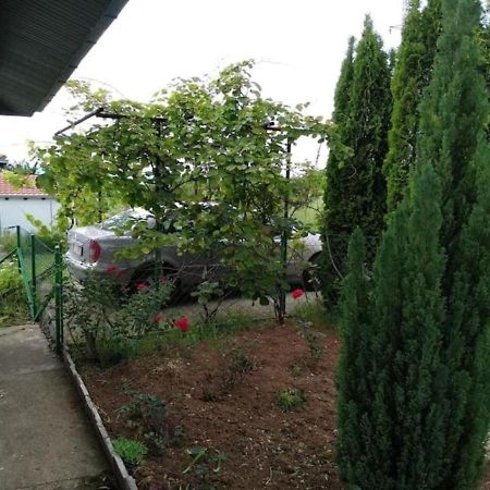 Cozy House Cvetkovic Villa Nis Exterior photo